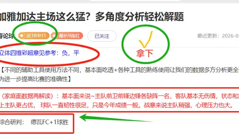 篮球盛宴：揭秘魔术VS猛龙巅峰对决，4胜3场精彩分析大放送！